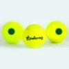 Meister Junior Green Tennis Ball (12 Pack)